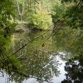 DSC02744.JPG