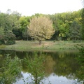 DSC02757.JPG