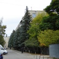 DSC02785.JPG
