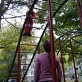 DSC02801.JPG