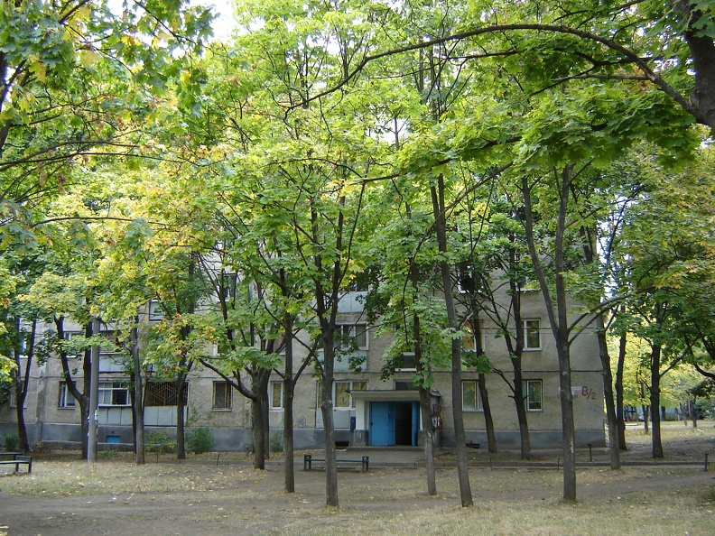 DSC02805.JPG