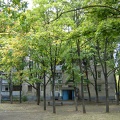 DSC02805.JPG