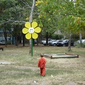DSC02809.JPG