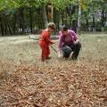 DSC02814.JPG