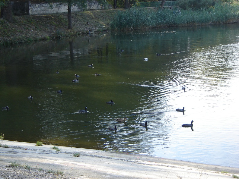 DSC02852.JPG