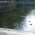 DSC02852.JPG