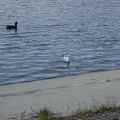 DSC02854.JPG