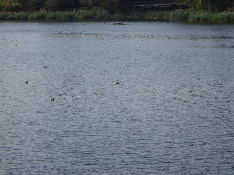DSC02855.JPG