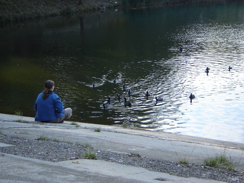 DSC02869.JPG