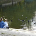 DSC02874.JPG