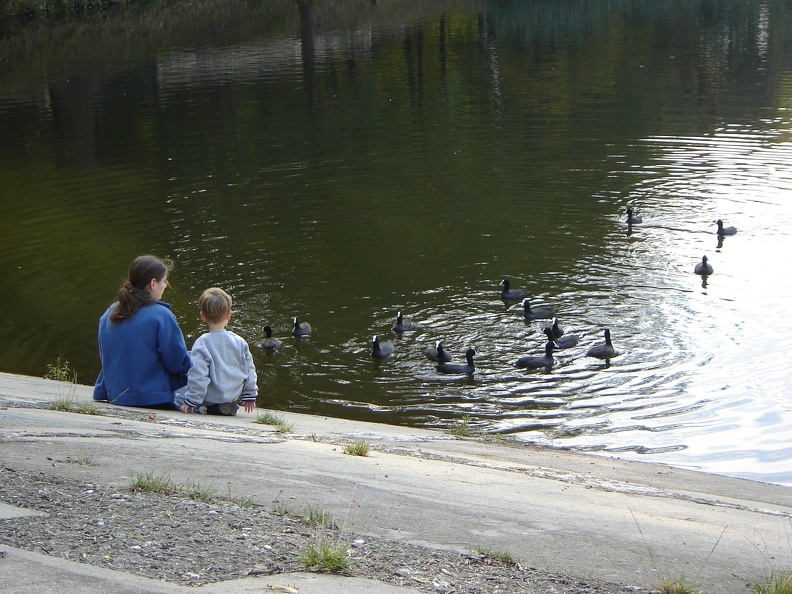 DSC02875.JPG