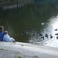 DSC02878.JPG