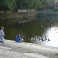 DSC02879.JPG