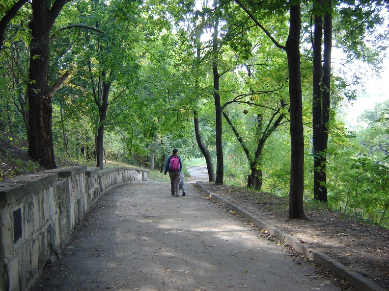 DSC02890.JPG