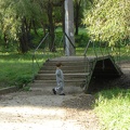 DSC02898.JPG