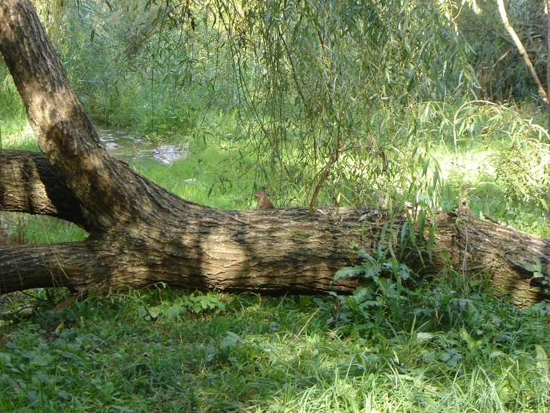 DSC02901.JPG
