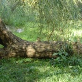 DSC02901.JPG
