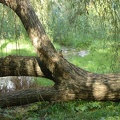 DSC02902.JPG