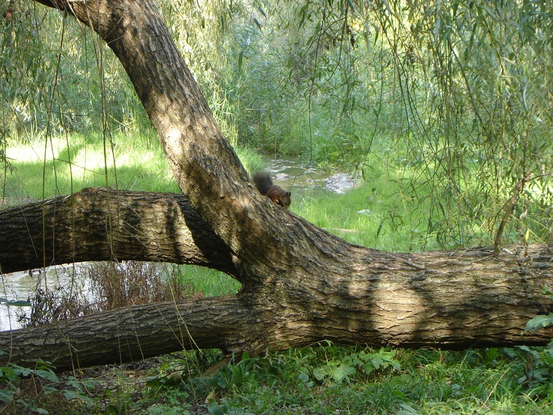 DSC02903.JPG