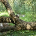 DSC02903.JPG