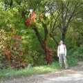 DSC02907.JPG