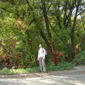 DSC02908.JPG