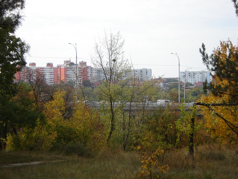 DSC02919.JPG