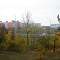 DSC02919.JPG