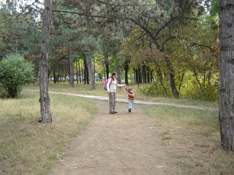 DSC02920.JPG