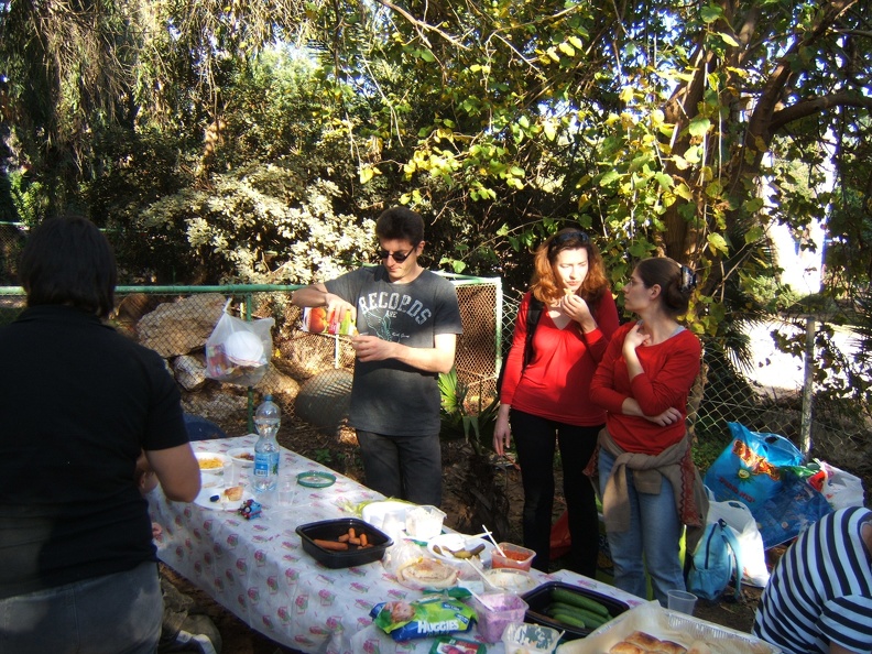 DSCF1110.JPG