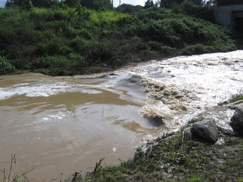 Alexander Stream 002