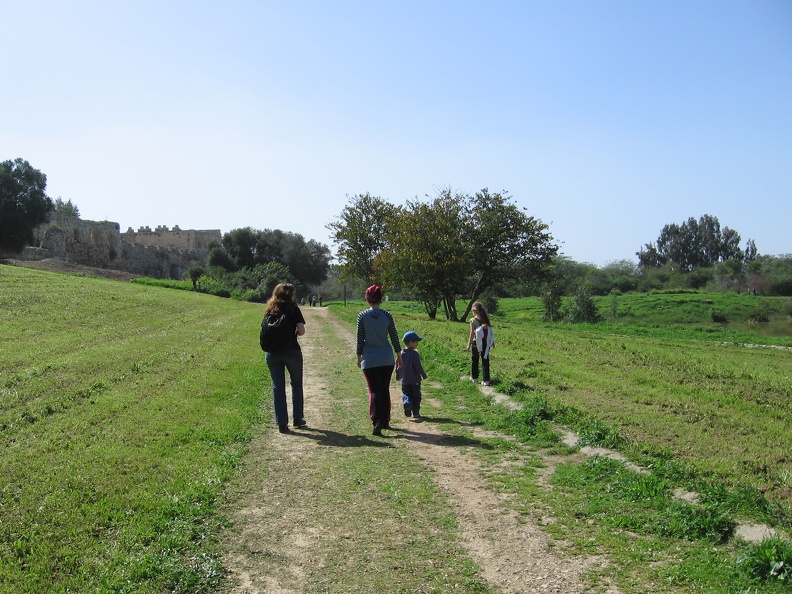 Yarkon Springs 001