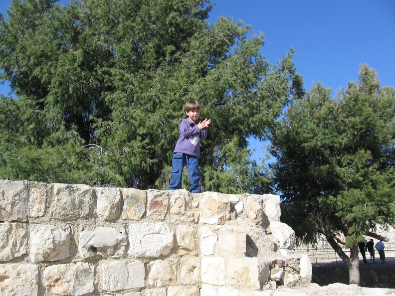 Yarkon Springs 022
