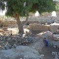 Yarkon Springs 037