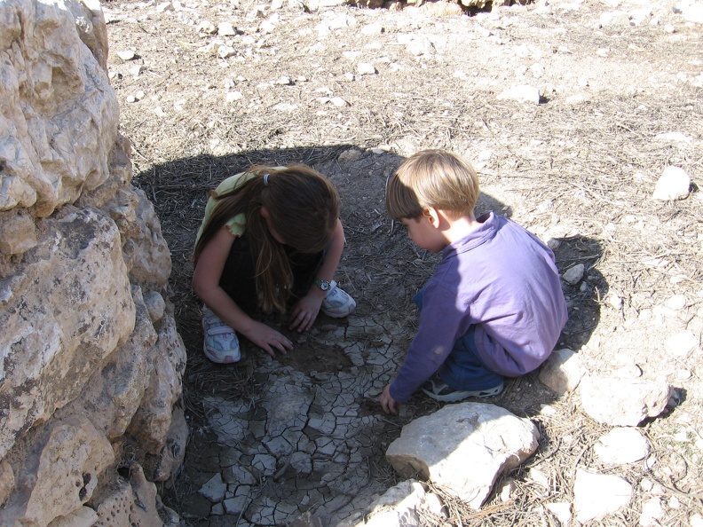 Yarkon Springs 039