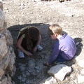 Yarkon Springs 039