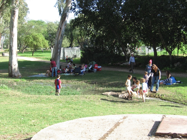 Yarkon Springs 045