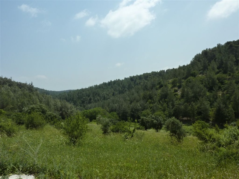 P1030097