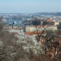 P1010354