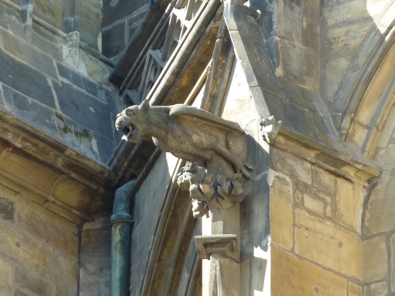 P1010368