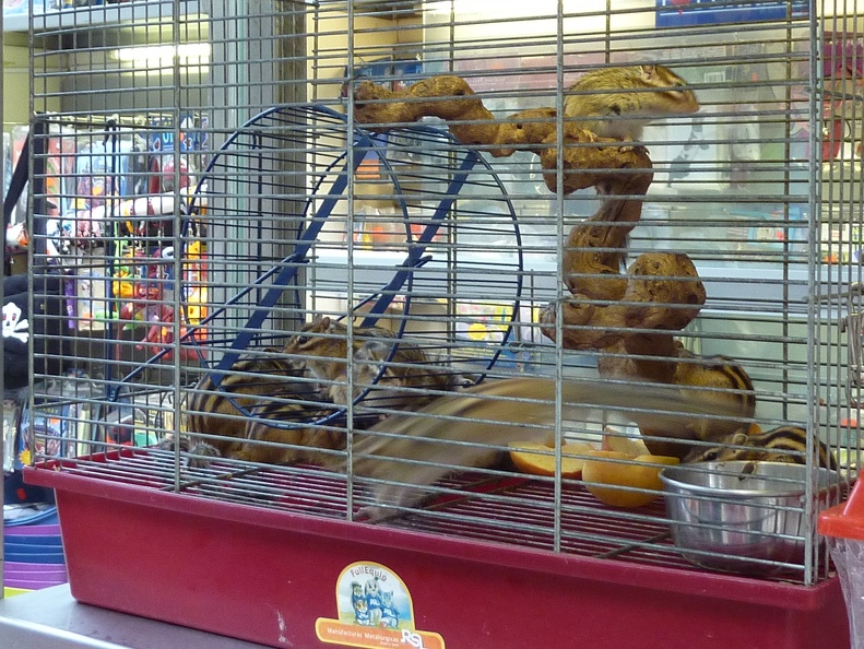 P1050610