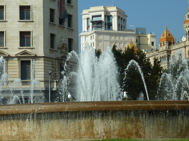 P1050632