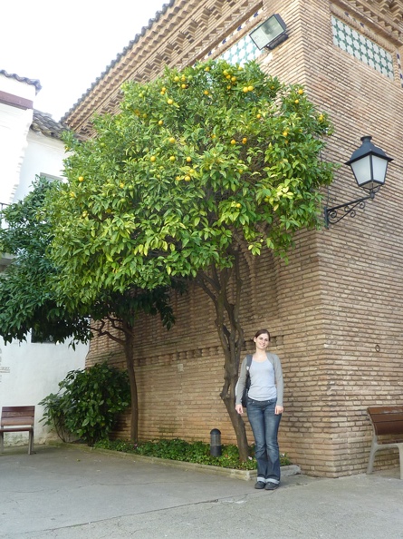 P1050877