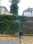 P1060404
