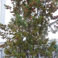 P1060419