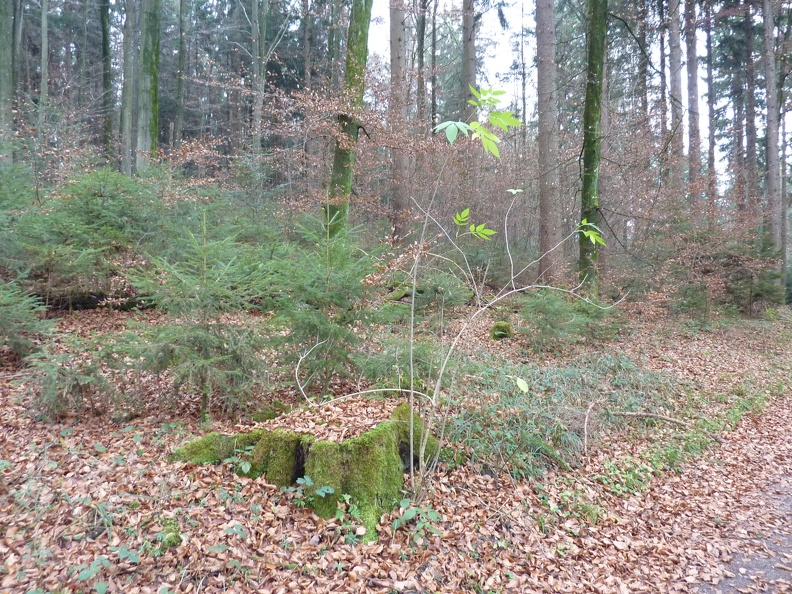 P1060876