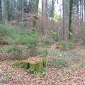 P1060876