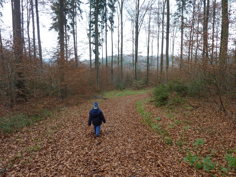 P1060877.JPG