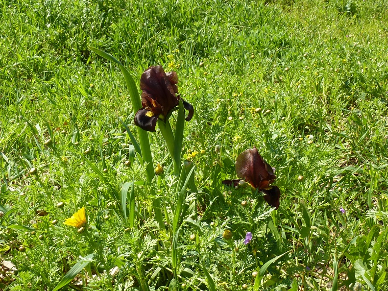 P1070496