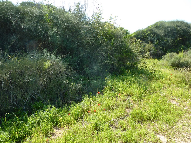 P1070500